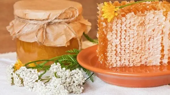 عسلِ باکیفیت چه نشانه هایی دارد؟