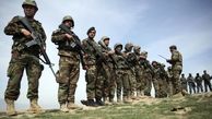 طرح افغانستان برای آموزش ۲۰۰۰۰ غیرنظامی برای جنگ با شورشیان