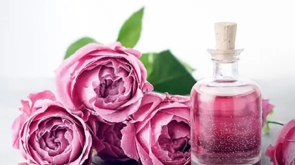 گلاب سر تا پا را درمان می کند