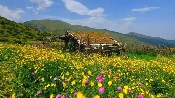 طبیعت آغوشی از آرامش و نسیمی از زندگی