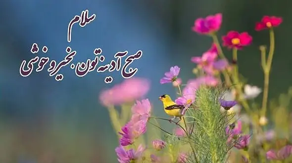 جملات انگیزشی امروز جمعه + فیلم