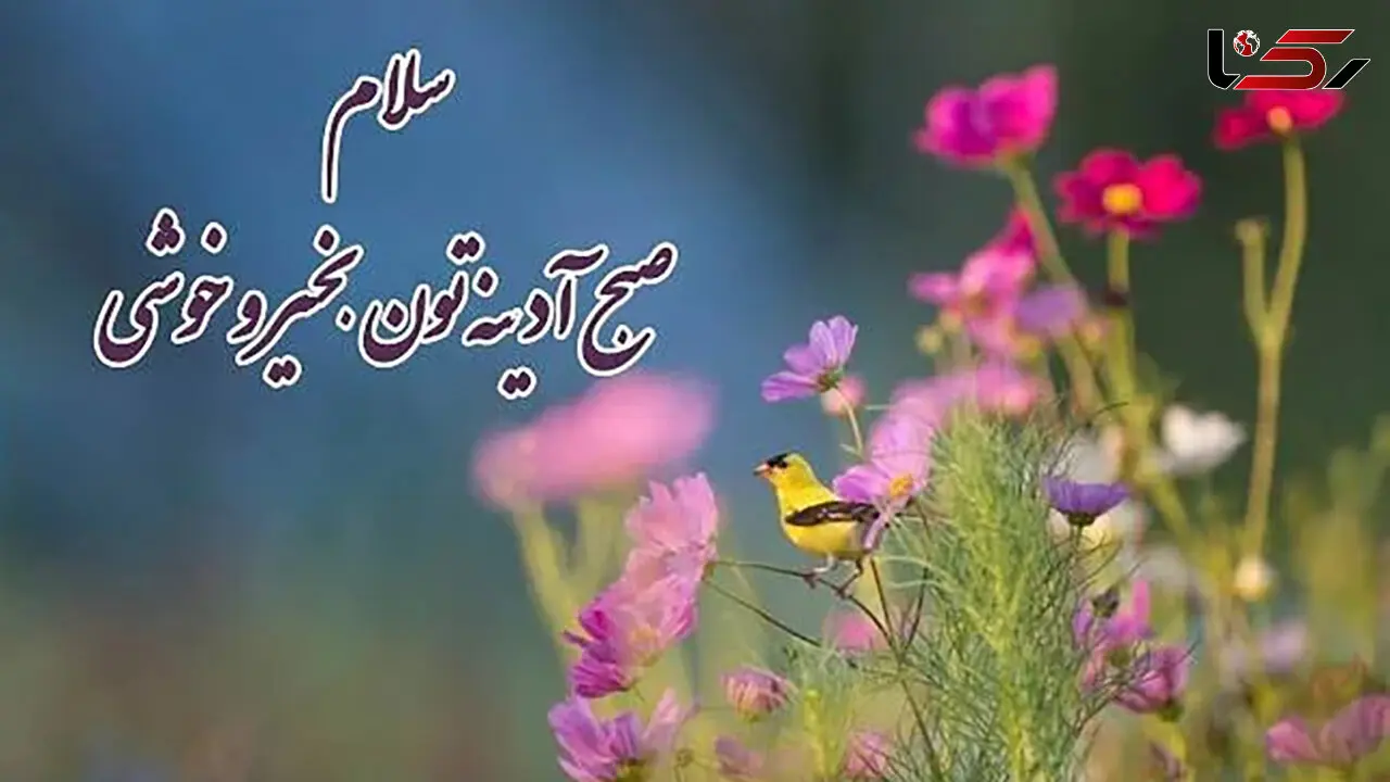 جملات انگیزشی امروز جمعه + فیلم