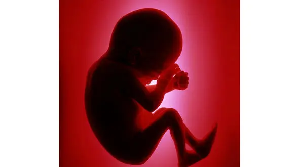 حکم بچه دار شدن قبل از عقد