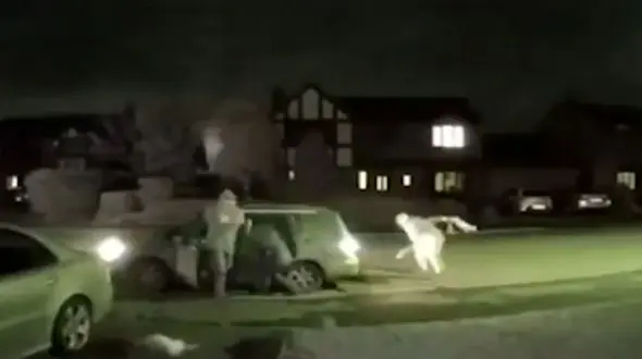  پرتاب وحشیانه لاشه حیوانات به یک خانه! + فیلم 