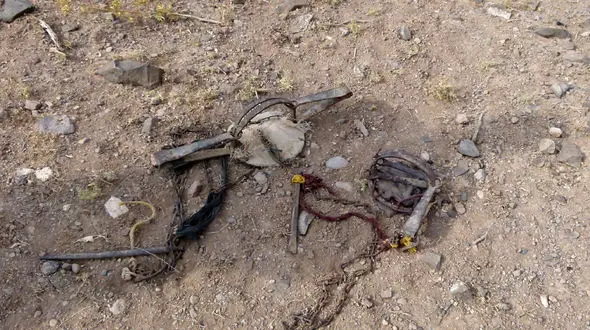 کشف تله شکار وحش در شهرستان بیرجند