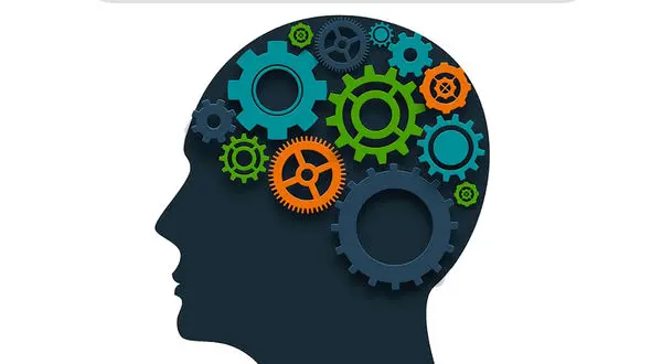 2 روش بسیار آسان برای ماساژ دادن سلول های خاکستری مغز + عکس 