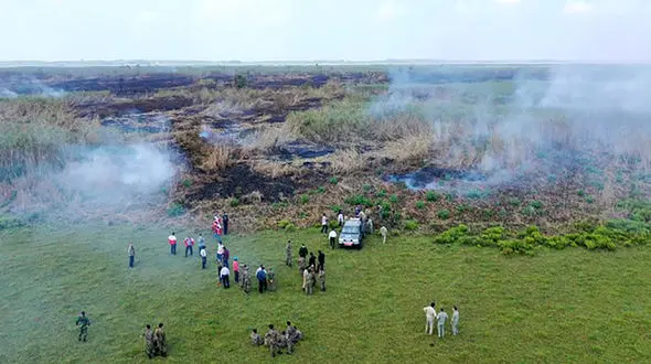  آرامش به تالاب انزلی بازگشت / اطفای کامل حریق در تالاب انزلی با هواپیما + فیلم