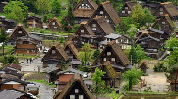 ساخت مسکن به سبک ژاپنی برای مجردهای ایرانی