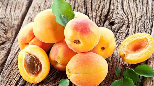 میوه های کم ضرر برای دیابتی ها 