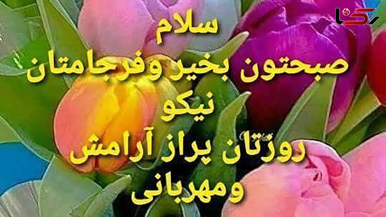 سلام صبح بخیر + فیلم