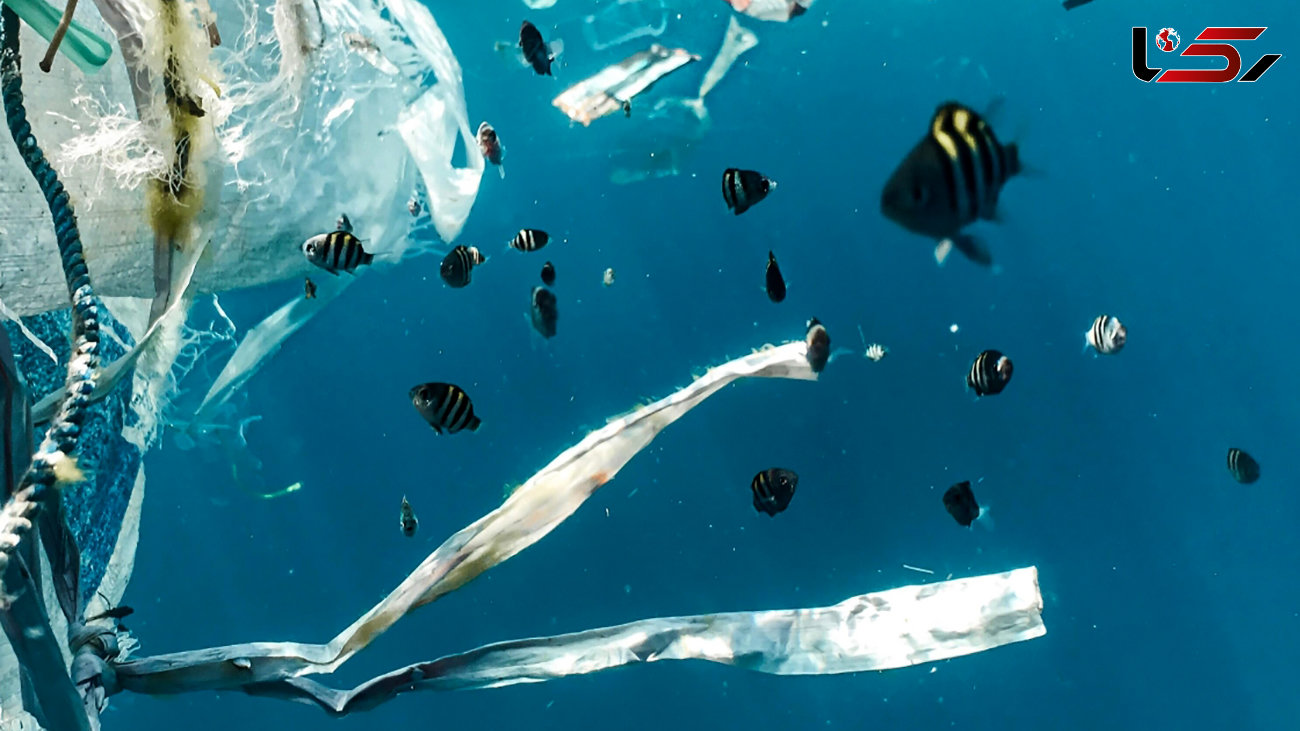  ۱۷۰ تریلیون ذره پلاستیکی در دریاها و اقیانوس‌ها وجود دارند