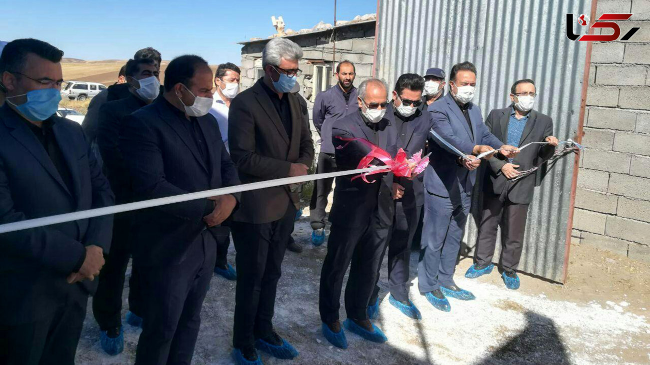 افتتاح گاوداری شیری صنعتی 200 راسی در روستای پاشابیگ