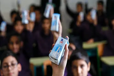 توزیع شیر دانش آموزان در مدارس ایلام متوقف شد / علت چیست؟