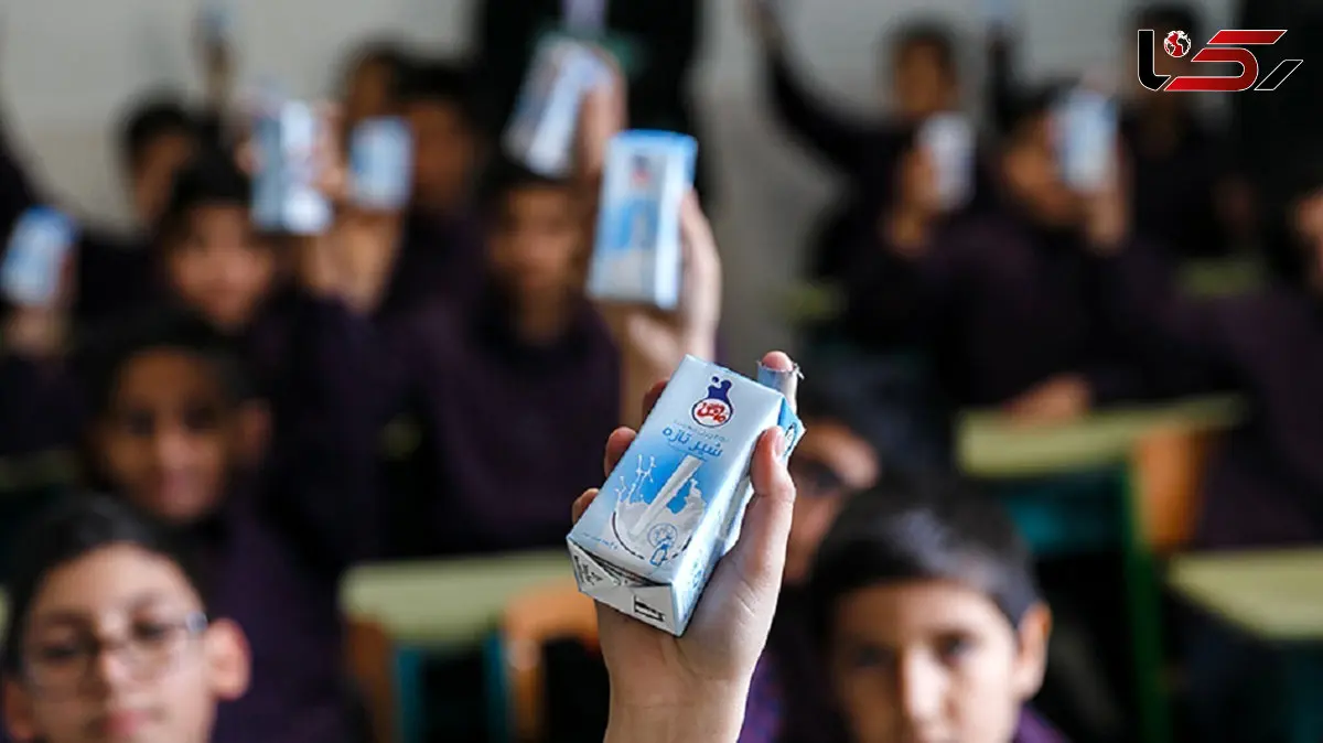 توزیع شیر دانش آموزان در مدارس ایلام متوقف شد / علت چیست؟