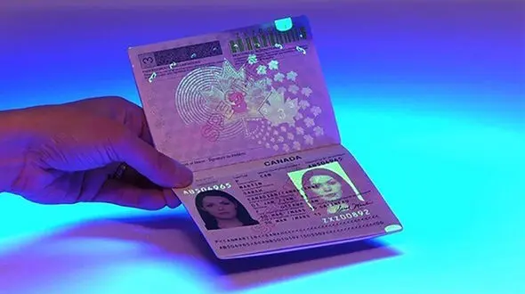 پاسپورت کانادا کتاب تاریخ شد+ فیلم 