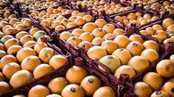 80 هزار تن سیب و پرتقال از امروز در بازار نوروزی توزیع می شود