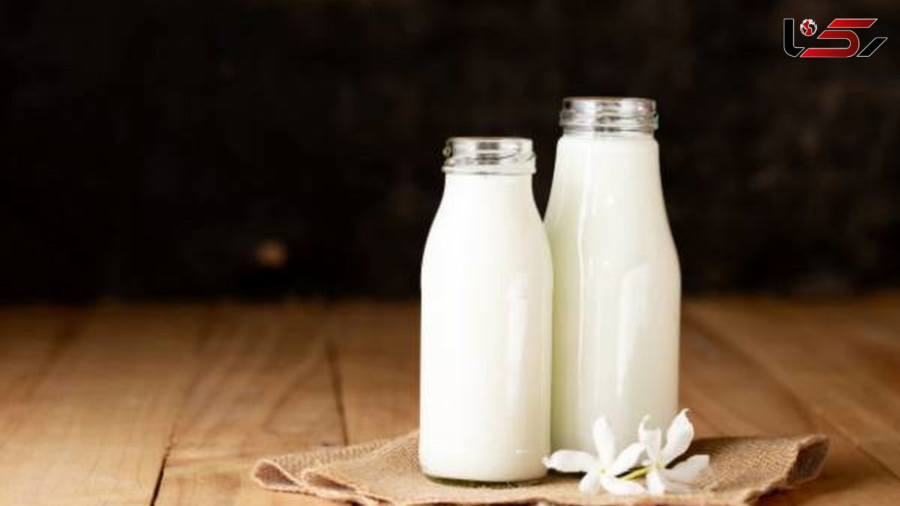 موافقت دولت با افزایش ۲۵ درصدی قیمت شیرخام / لبنیات چقدر گران می‌شود؟