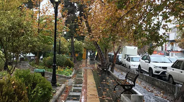 اعلان اسب دوانی در قلهک + سند قدیمی