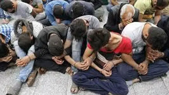 دستگیری 13 سارق  در فیروزآباد +عکس