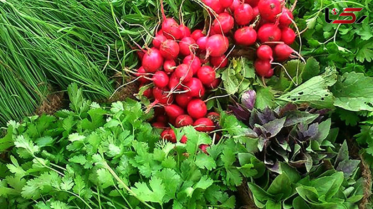 قیمت سبزیجات و صیفی جات در میادین میوه + جدول قیمت