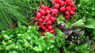 تازه‌ترین قیمت‌های سبزیجات و صیفی‌جات در میادین + نرخنامه