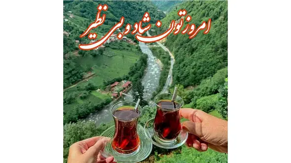 فال روزانه شخصی/ 8 مرداد ماه + فیلم