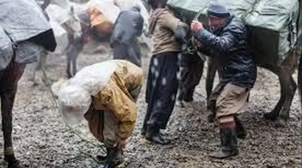 بحران معیشت در 2 هزار خانواده کولبر / طرح ارتقای معاش کولبران در بایگانی مجلس جای گرفت