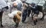 بحران معیشت در 2 هزار خانواده کولبر / طرح ارتقای معاش کولبران در بایگانی مجلس جای گرفت
