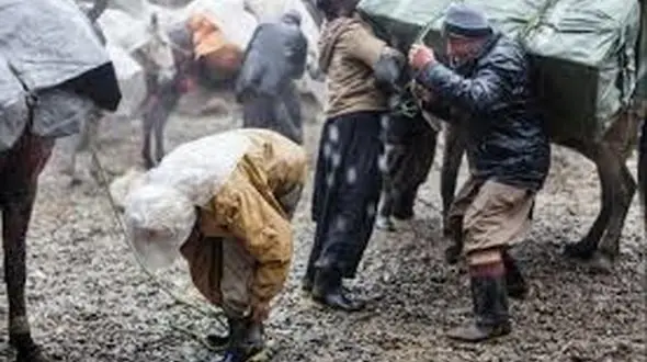 کولبران به طور قانونی می توانند کار کنند