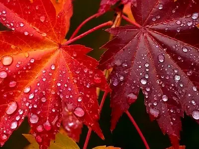 فال و طالع بینی امروز دوشنبه 11 اسفند 