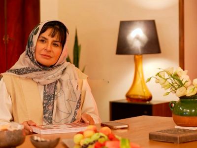  سیما تیرانداز درباره دکوراسیون خانه اش : برای خونم لوازم عتیقه‌ می‌خرم تا بعد  چند سال ضرر نکنم /  مبل هام برای  10سال پیشه !! + عکس ها از دکوراسیون گران قیمتش !