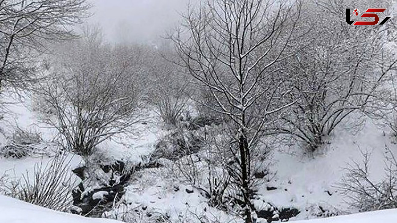 نجات جان بیش از ٢٠ نفر گرفتارشده در برف و کولاک