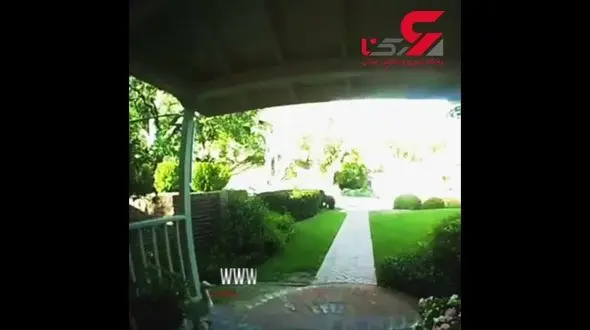 مادربزرگ قهرمان نوه را از حمله خرس نجات داد+ فیلم