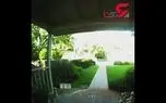 مادربزرگ قهرمان نوه را از حمله خرس نجات داد+ فیلم