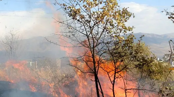 فیلم آتش‌سوزی گسترده در پارک ملی دز / نیروها به حالت آماده باش درآمدند