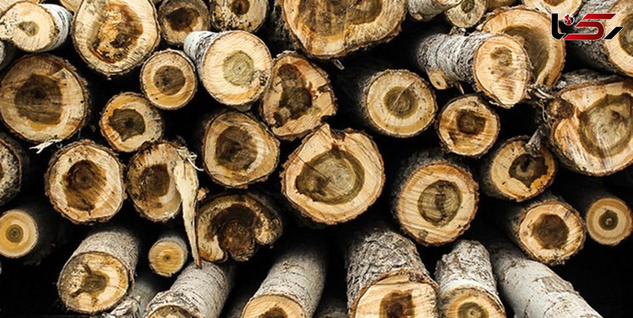 کشف 10 تن چوب قاچاق در سوادکوه