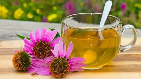 مبارزه سه سوته با سرماخوردگی و آنفلوآنزا از راه نوشیدنی 