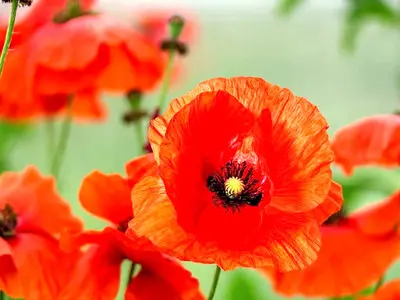 فال و طالع بینی امروز پنج شنبه 7 اسفند 