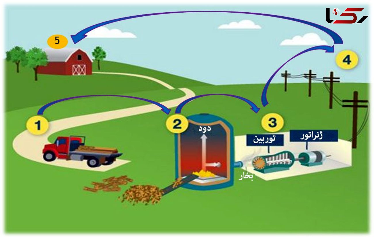 ساخت نیروگاه زیست توده در روستاهای خوزستان/تولید انرژی از چرخه پسماند گیاهی و حیوانی