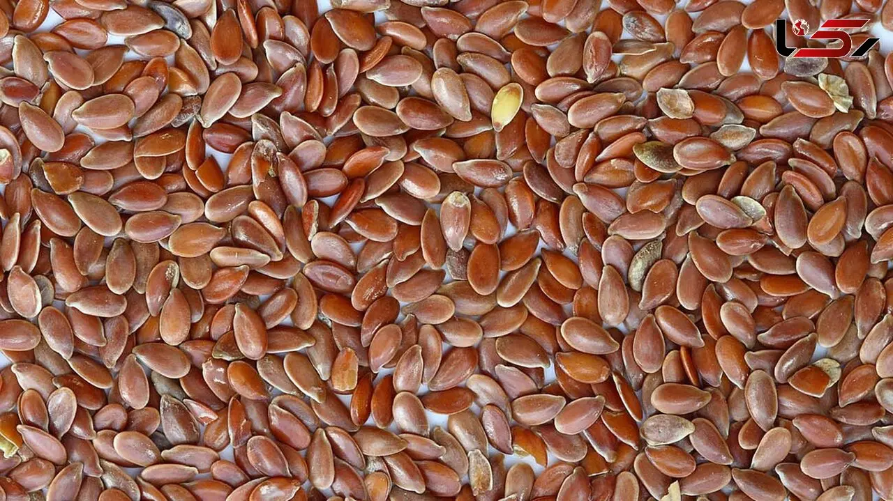 خوراکی های دوستدار معده کدامند؟