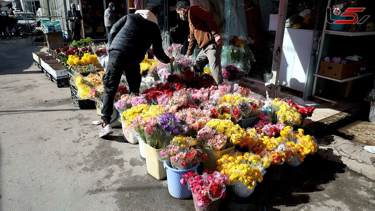 همه ایران گلفروش شدند، قیمت گل گران شد! / قیمت گل شب عید اعلام شد