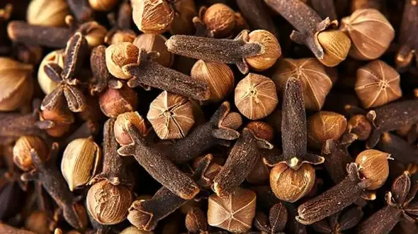 میخک؛ درمان طبیعی برای بهبود گوارش و سلامت معده