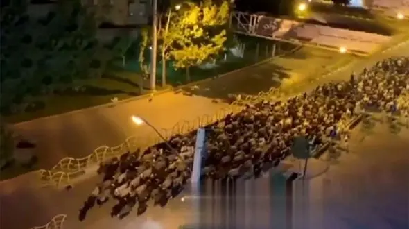 فیلم لحظه تصادف پراید با  گله گوسفند در مهاباد / سرعت زیاد بود