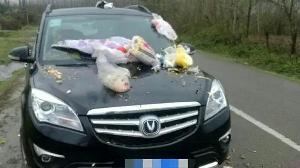 واکنش جالب مردم به اقدام زشت مسافرنوروزی / او به کارواش نیاز دارد! + عکس