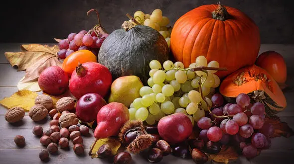 پاییز این غذاها را بخورید / از انرژی رنگ ها تا آرامش روان