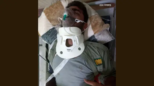 ضرب و جرح محیط‌بان میاندشت/ حادثه تلخ در پناهگاه حیات وحش