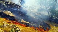 آتش سوزی هولناک در مراتع روستای شهرستانک