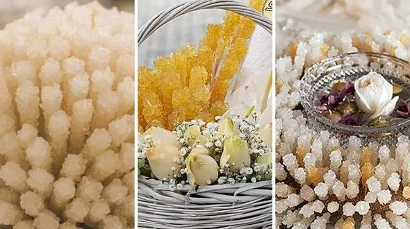 آموزش تزئین شاخه نبات | روش های خاص برای زیباسازی شاخه نبات