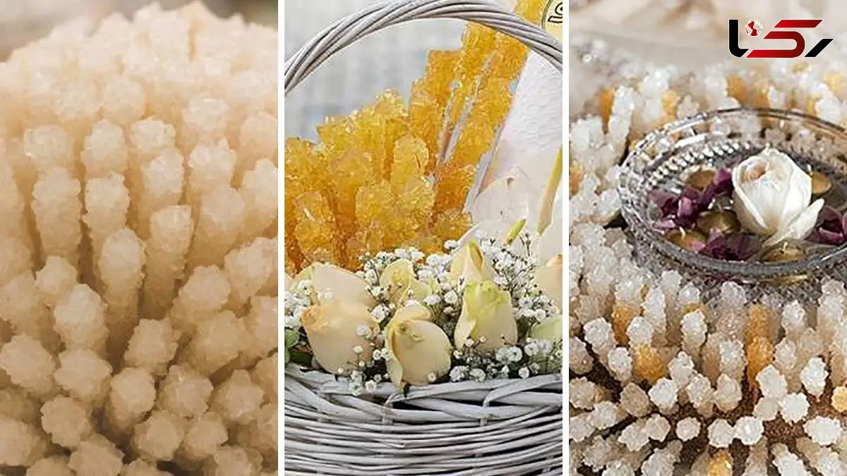 آموزش تزئین شاخه نبات | روش های خاص برای زیباسازی شاخه نبات