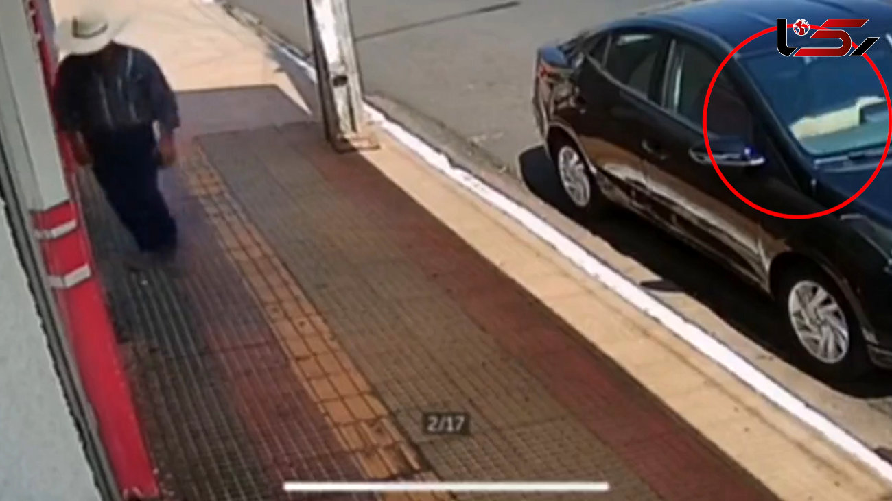 ببینید / سگی که از ماشین پارک شده دزدی می کند  + فیلم 